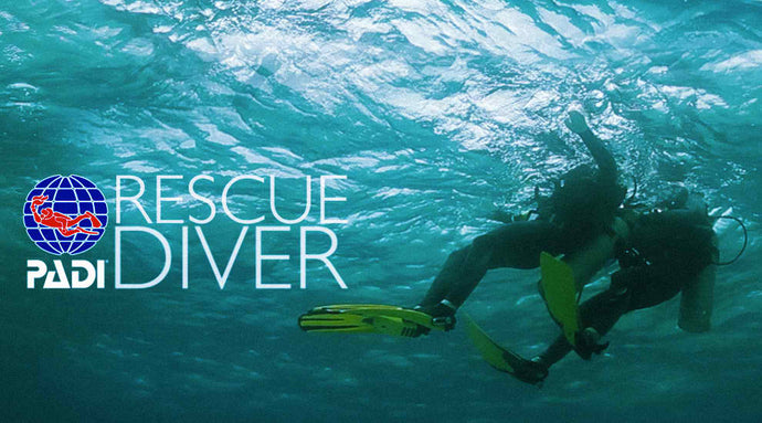PADI Rescue Dive Course *eLearning only*
