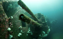 3 days 7 Boat Dives in San Diego's Wreck Alley